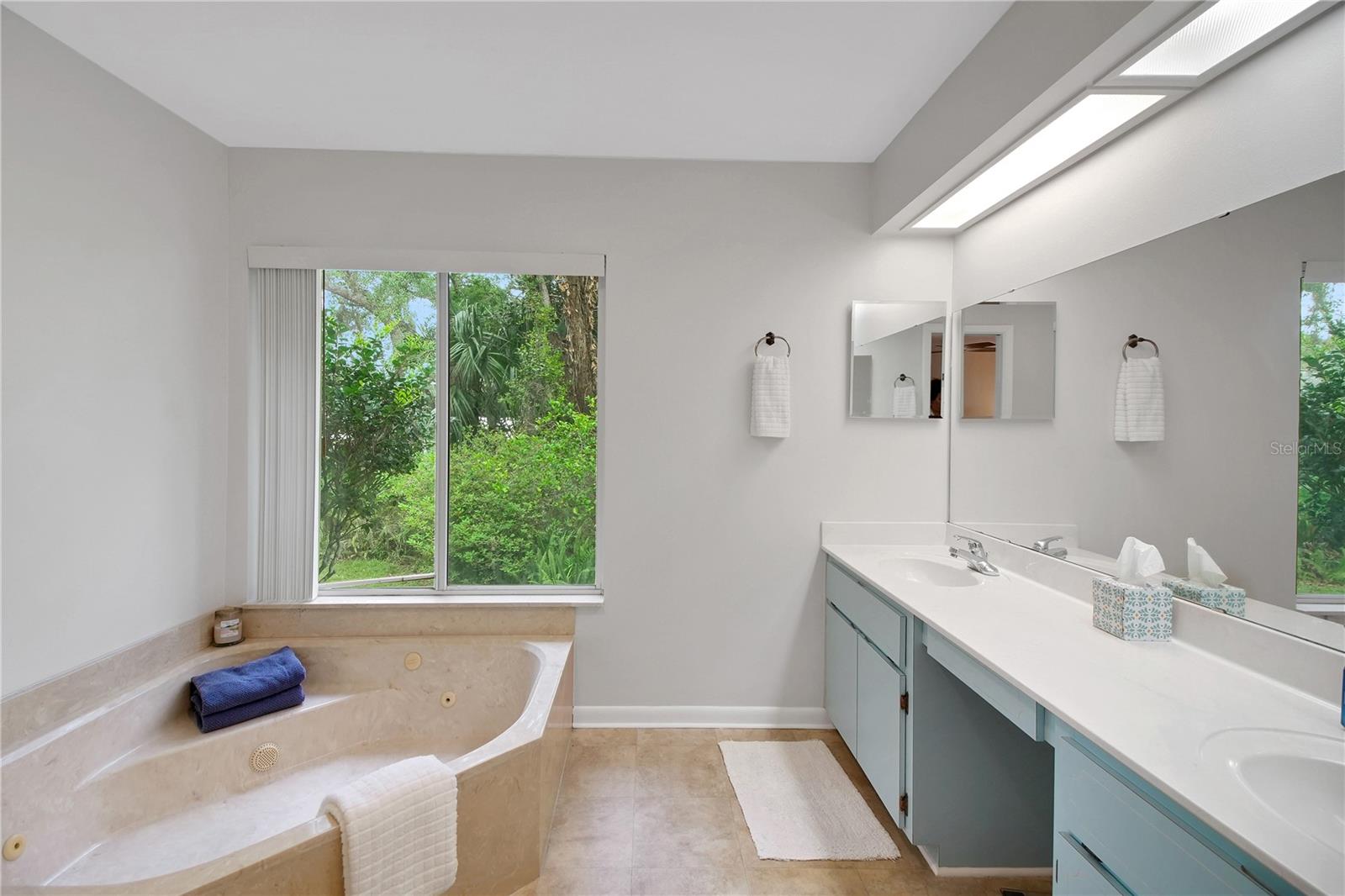 335 RIVER GLASS CT, LEESBURG, FL, 34788