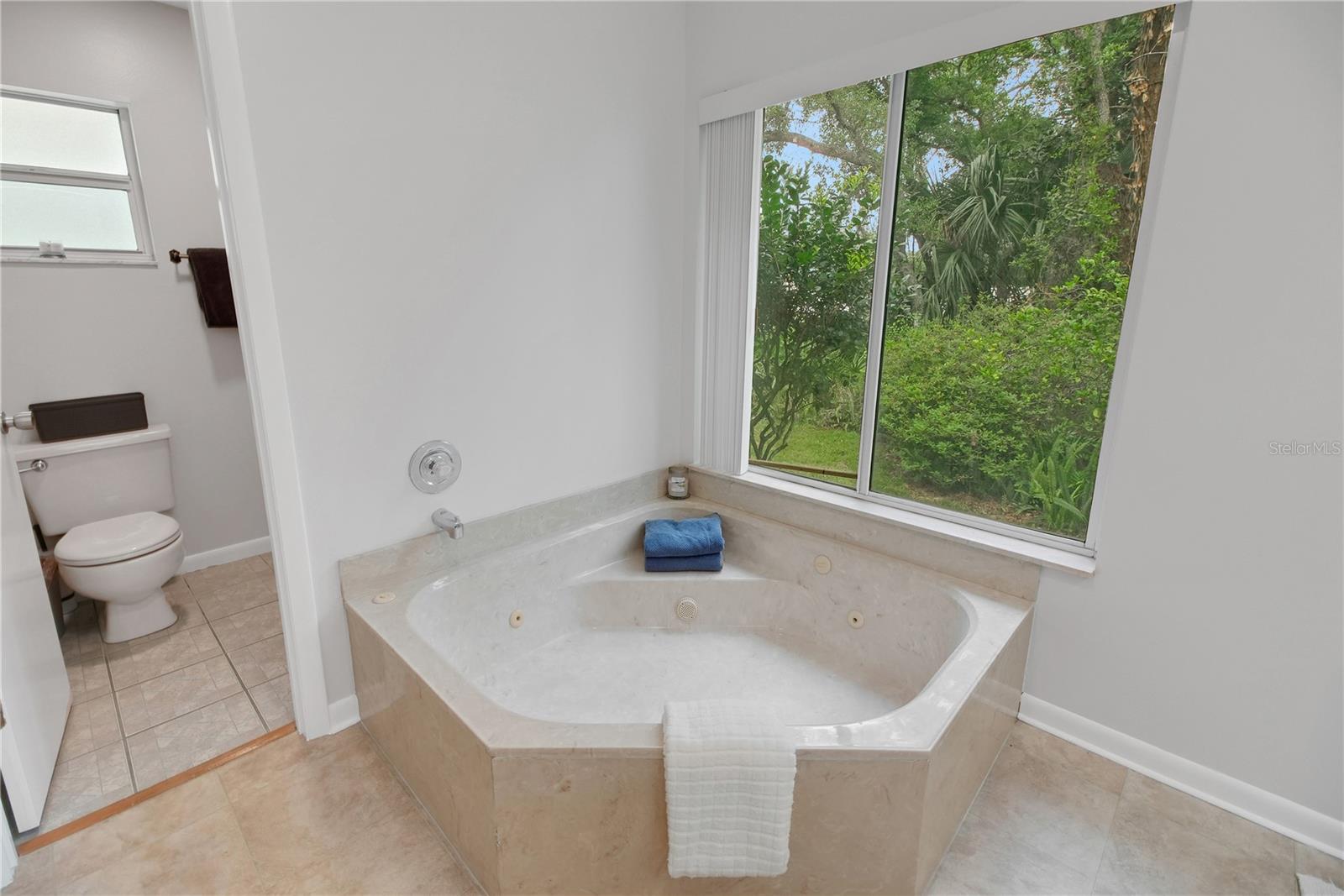 335 RIVER GLASS CT, LEESBURG, FL, 34788