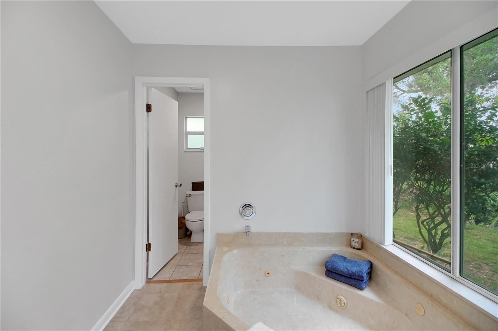 335 RIVER GLASS CT, LEESBURG, FL, 34788