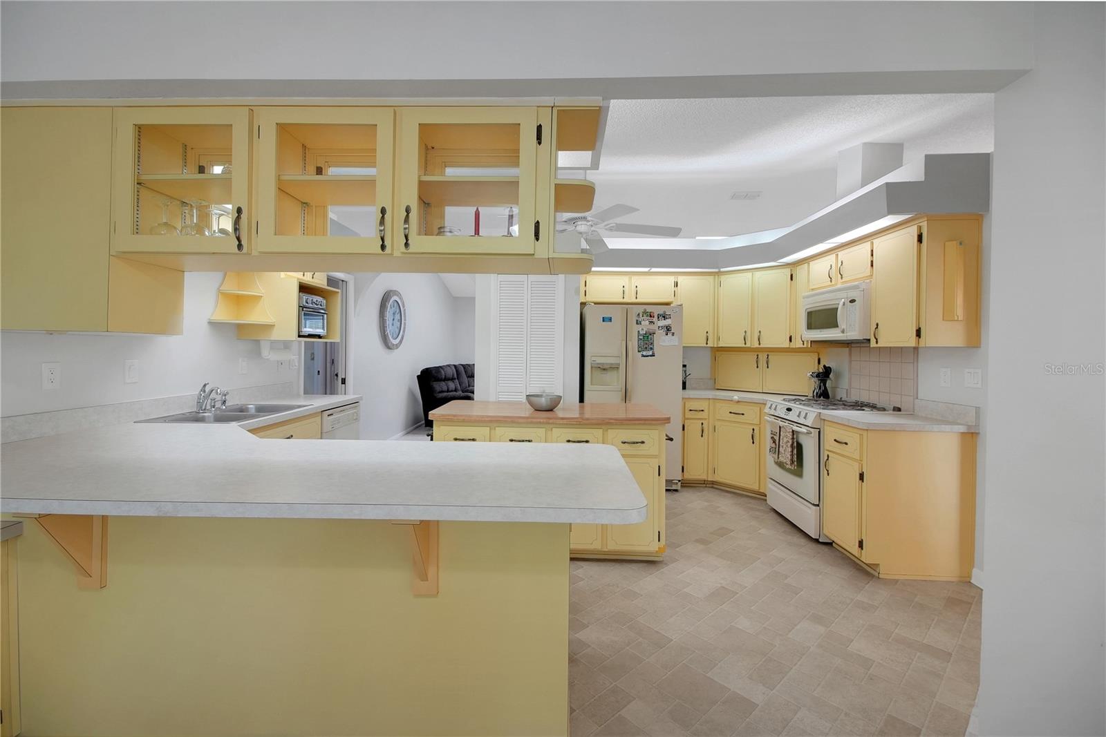 335 RIVER GLASS CT, LEESBURG, FL, 34788