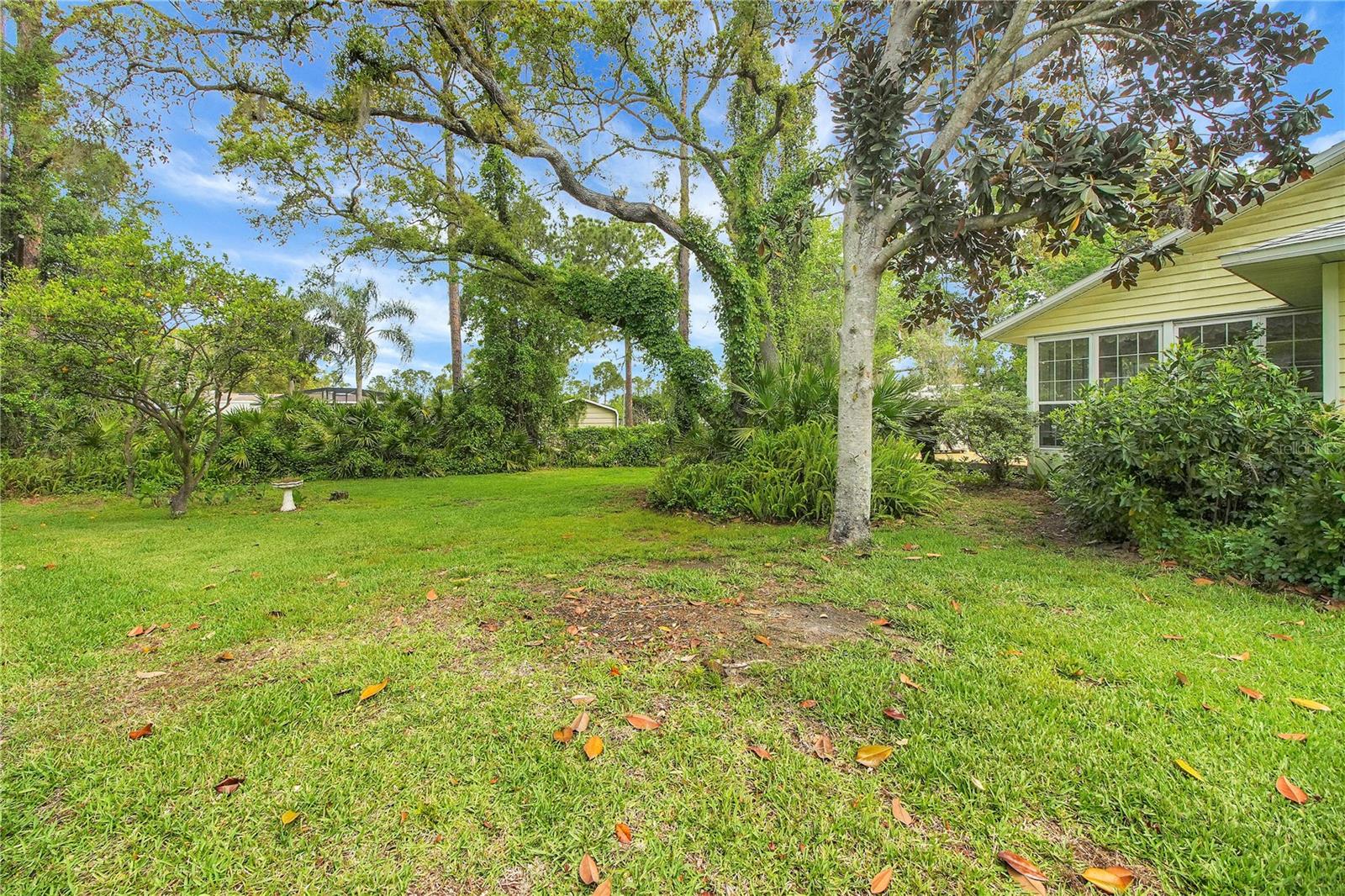 335 RIVER GLASS CT, LEESBURG, FL, 34788