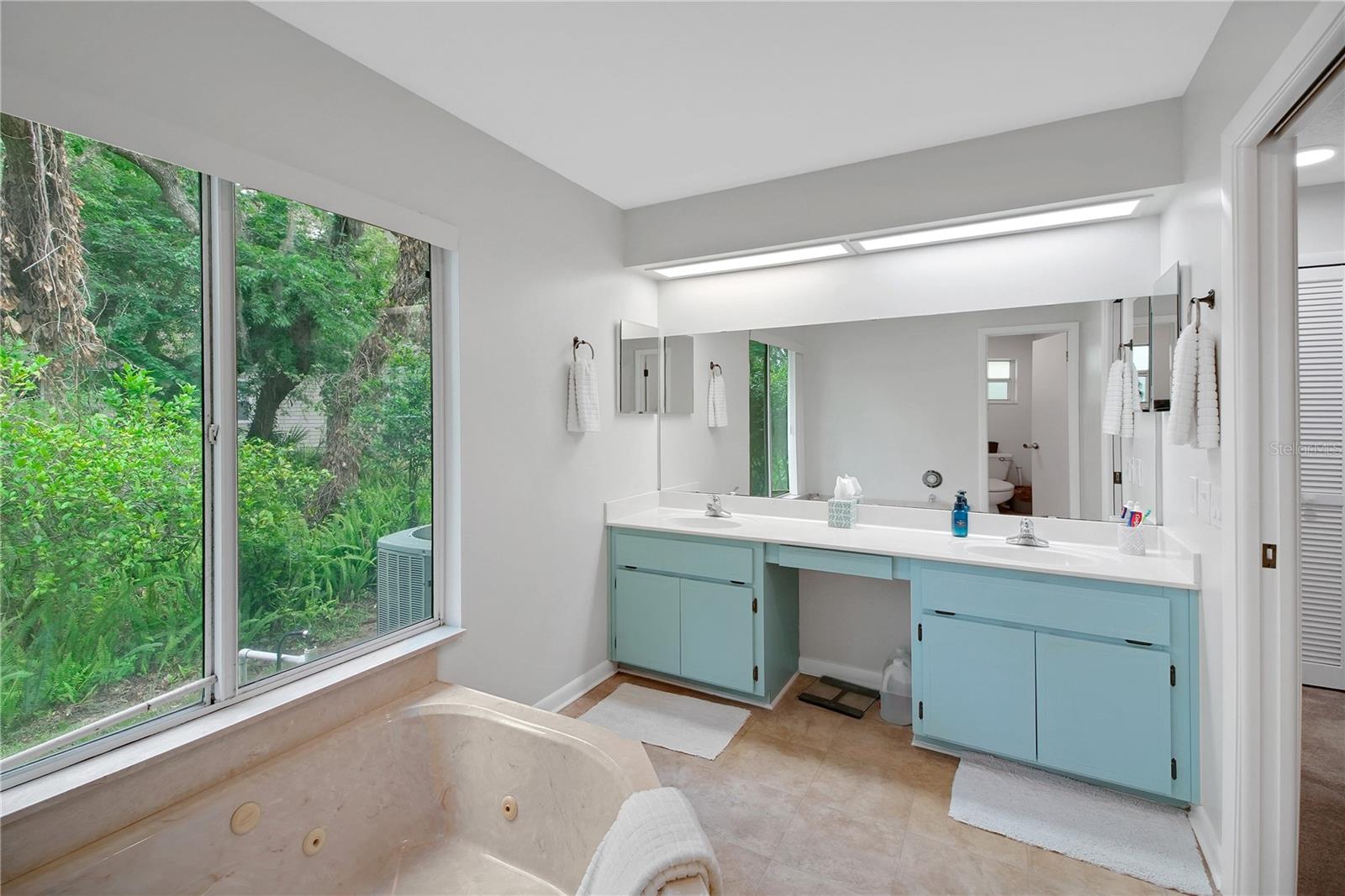 335 RIVER GLASS CT, LEESBURG, FL, 34788