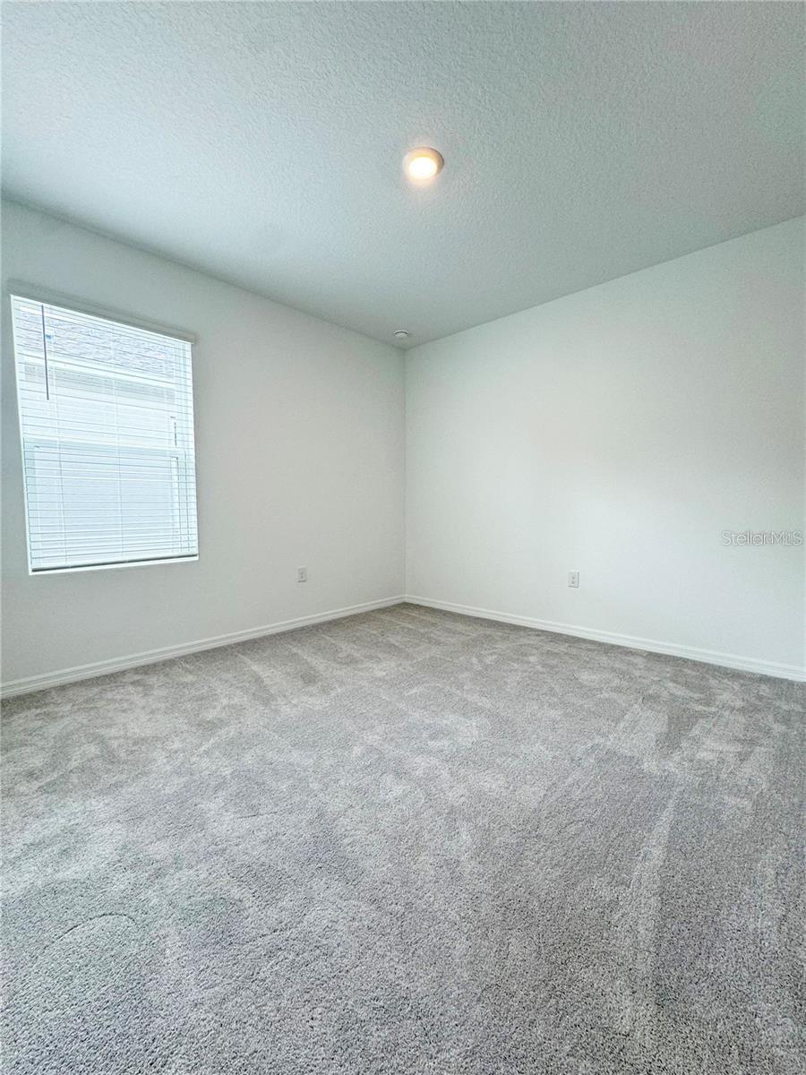 186 JONES FISH CAMP RD, EDGEWATER, FL, 32141