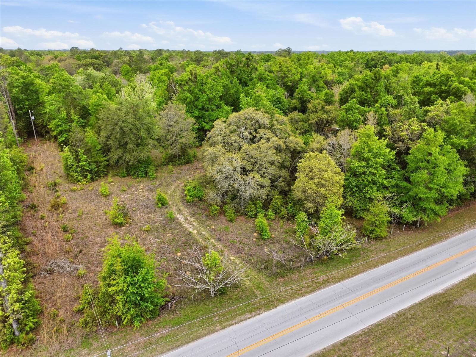 8830 NE 118TH  TER, BRONSON, FL, 32621