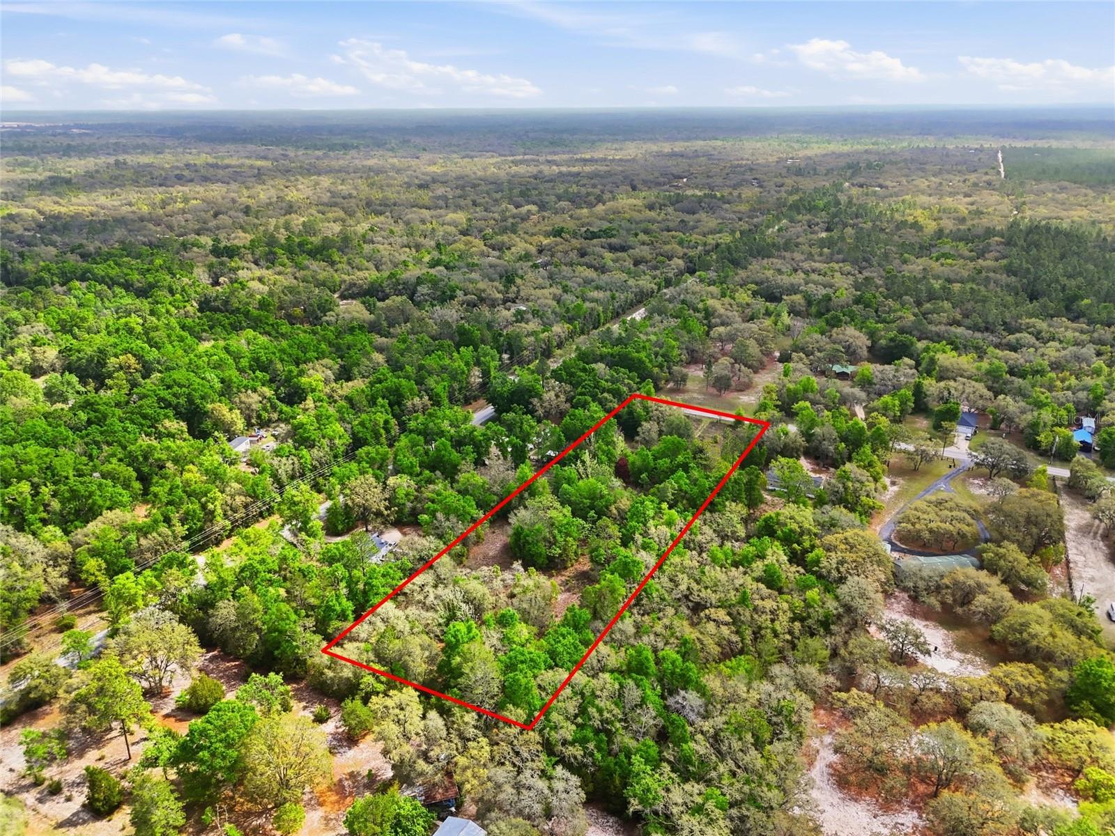 8830 NE 118TH  TER, BRONSON, FL, 32621