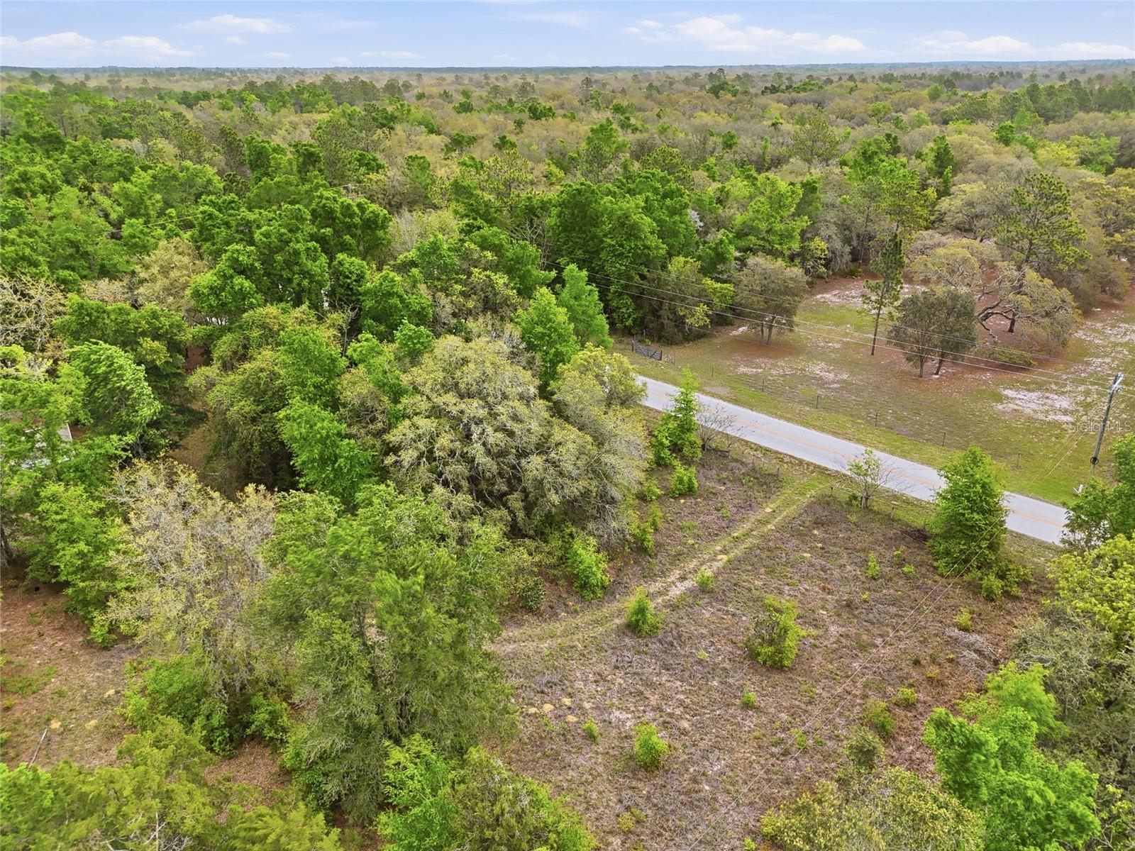 8830 NE 118TH  TER, BRONSON, FL, 32621