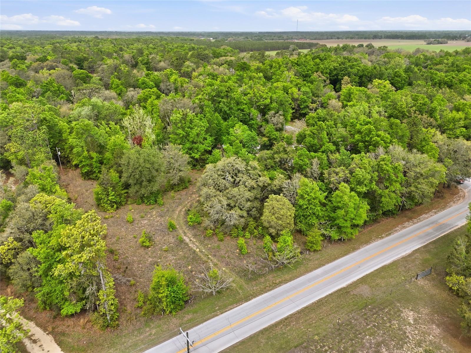 8830 NE 118TH  TER, BRONSON, FL, 32621