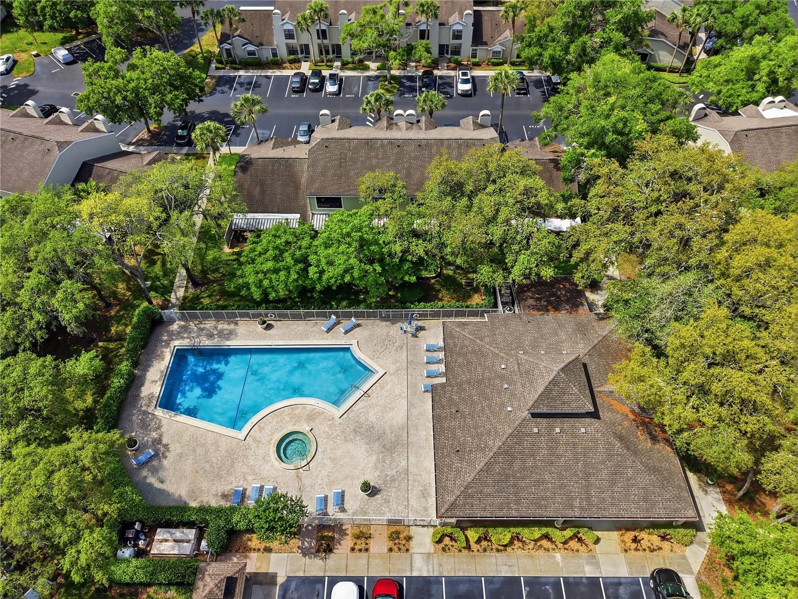 5100 BURCHETTE RD #604, TAMPA, FL, 33647