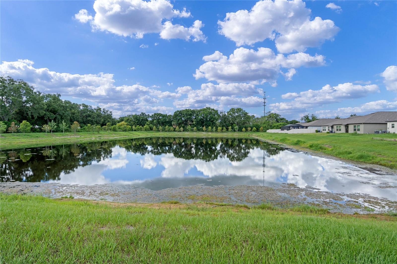 1555 COLDING DR, RUSKIN, FL, 33570