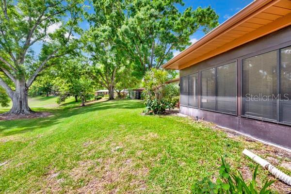 2291 SHELLY DR #D, PALM HARBOR, FL, 34684