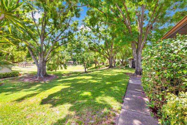 2291 SHELLY DR #D, PALM HARBOR, FL, 34684