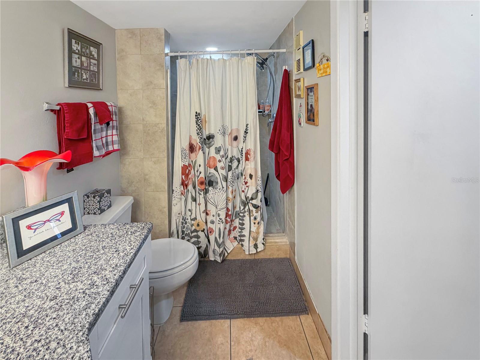 2333 FEATHER SOUND DR #C206, CLEARWATER, FL, 33762