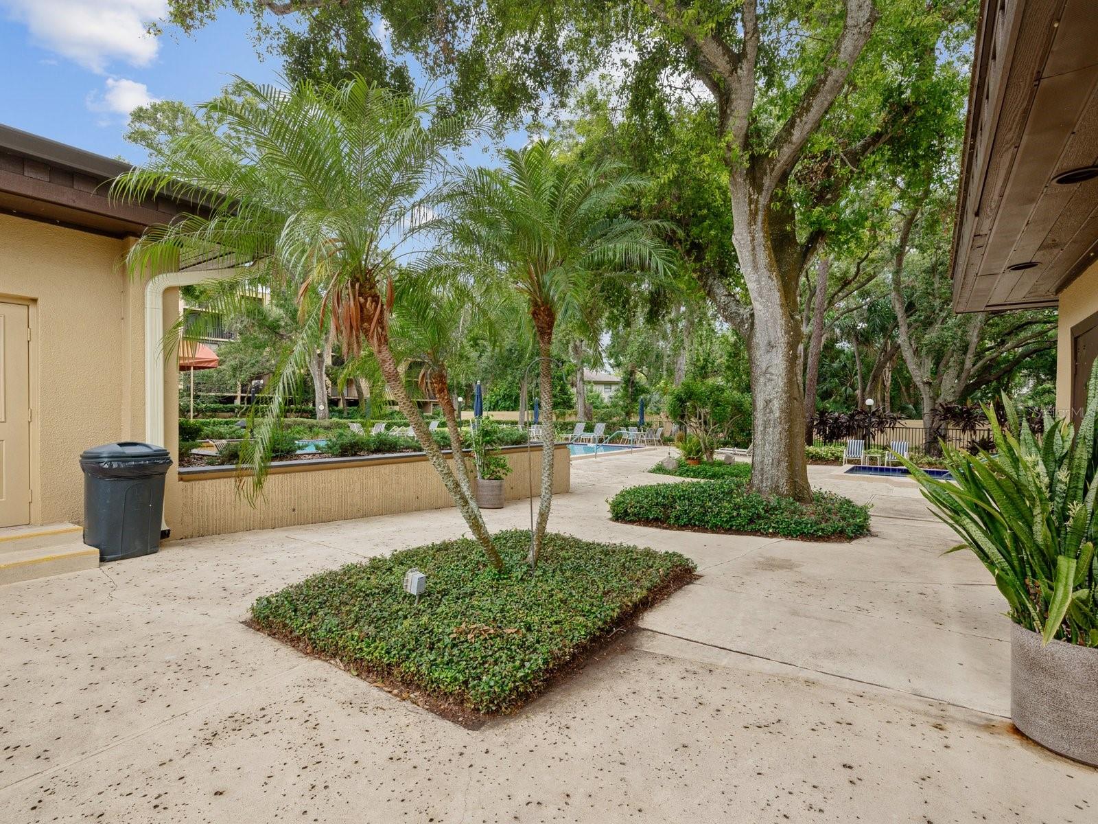 3078 EASTLAND BLVD #309, CLEARWATER, FL, 33761