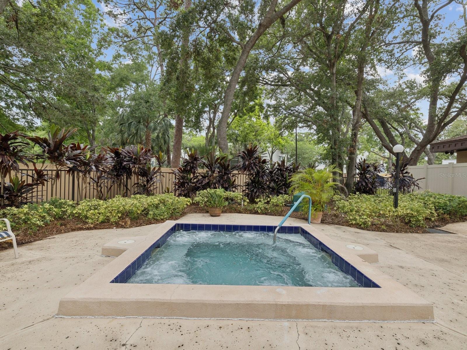 3078 EASTLAND BLVD #309, CLEARWATER, FL, 33761