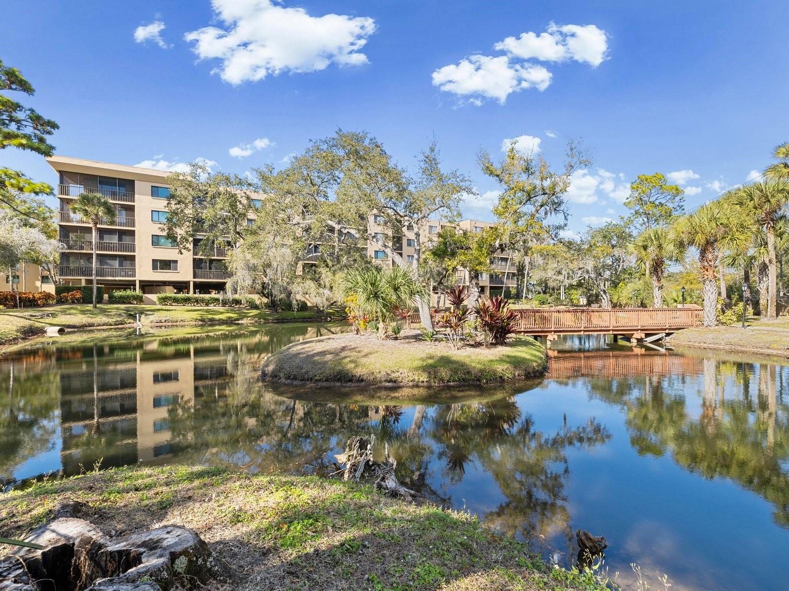 3078 EASTLAND BLVD #309, CLEARWATER, FL, 33761