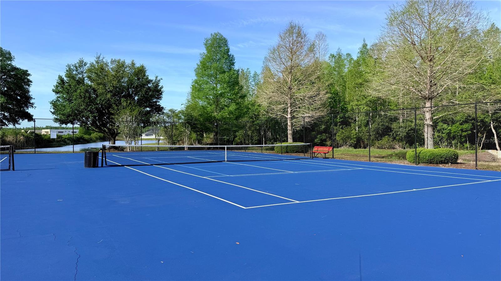 3529 LEFAYS PT, LAND O LAKES, FL, 34638