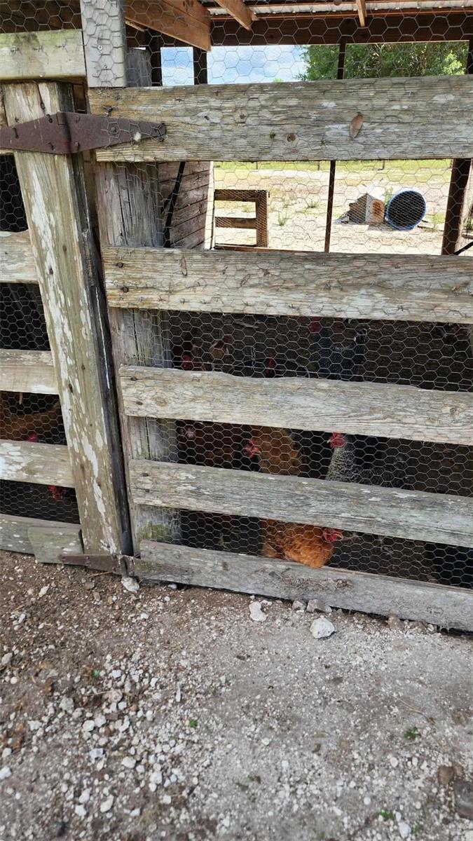 151 ELM ST, CENTER HILL, FL, 33514