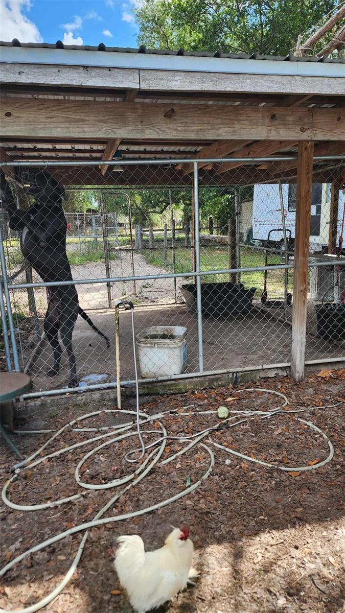 151 ELM ST, CENTER HILL, FL, 33514