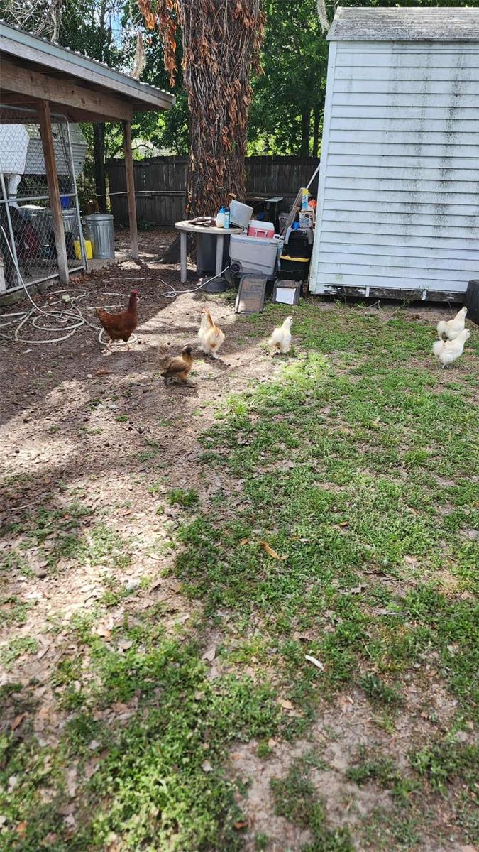 151 ELM ST, CENTER HILL, FL, 33514