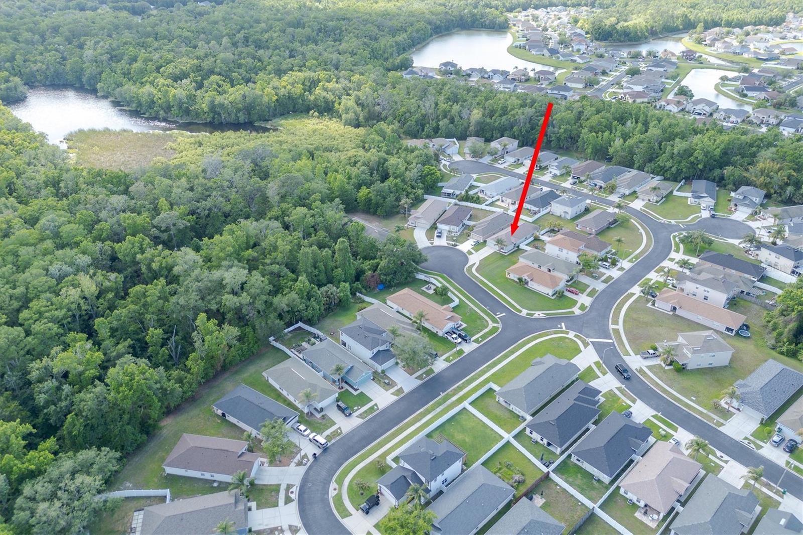 25831 SYME CT, LAND O LAKES, FL, 34639