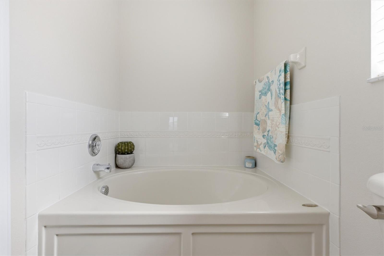 25831 SYME CT, LAND O LAKES, FL, 34639