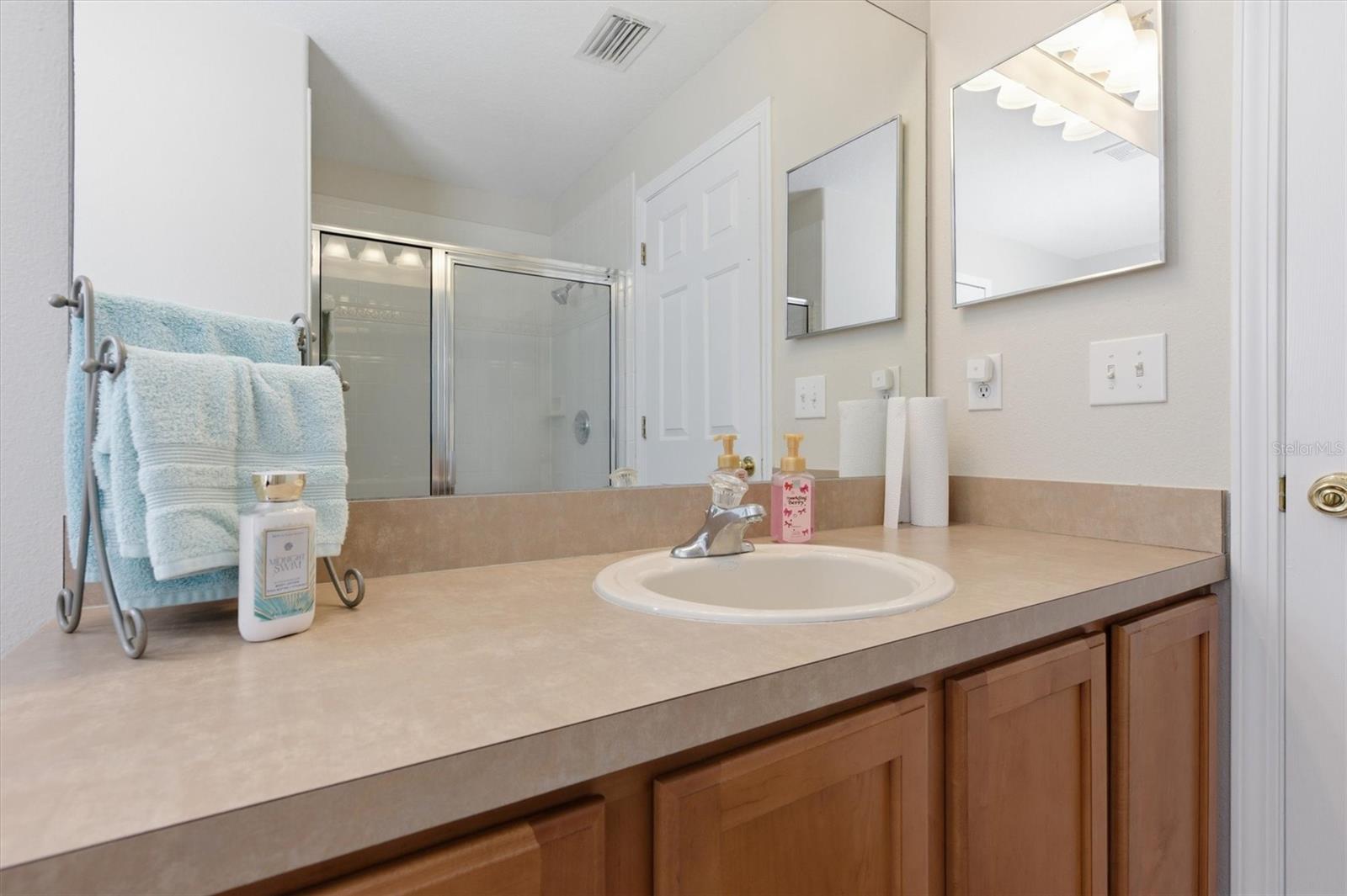 25831 SYME CT, LAND O LAKES, FL, 34639