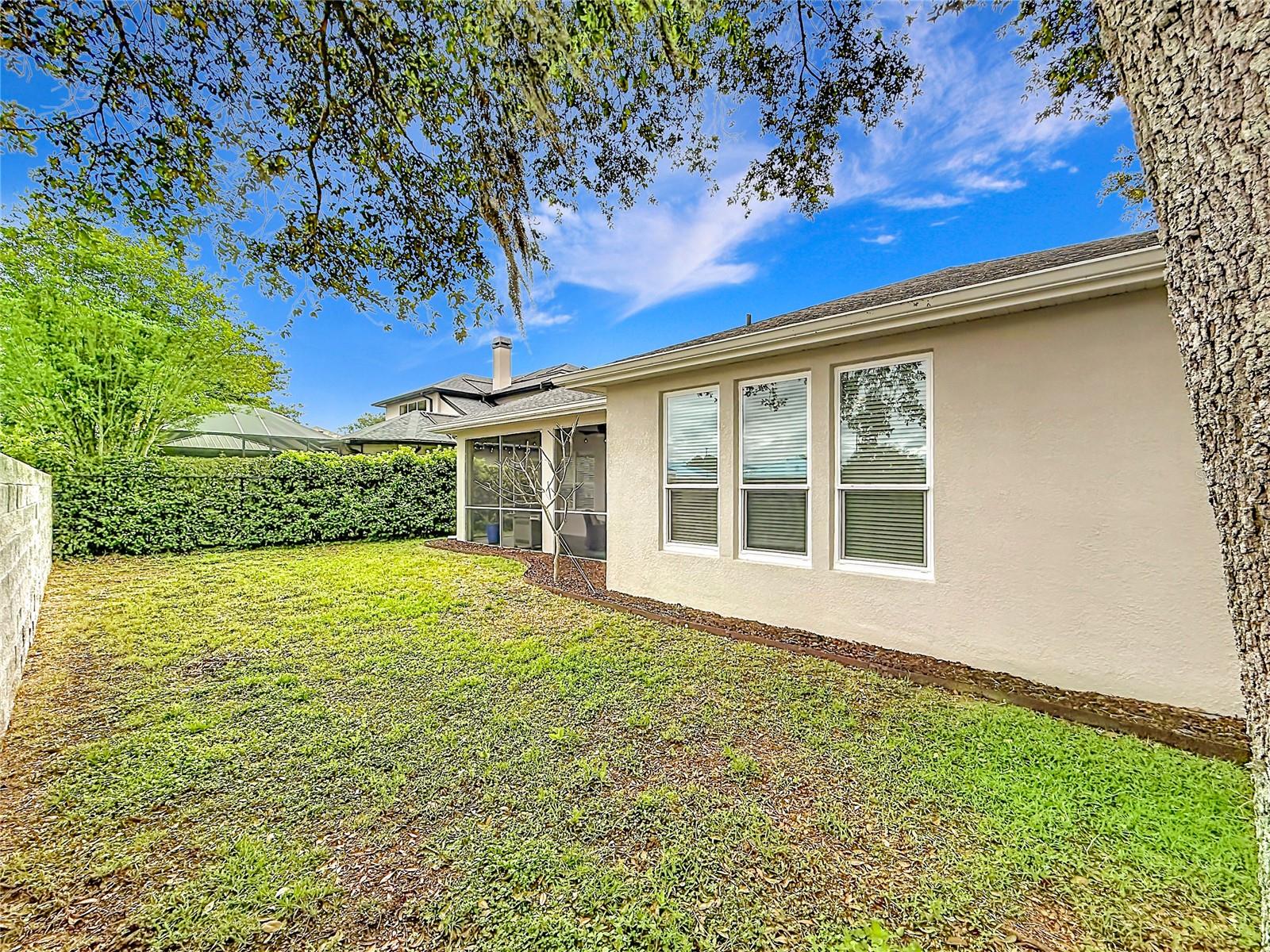 Rear Yard - Create your personal oasis