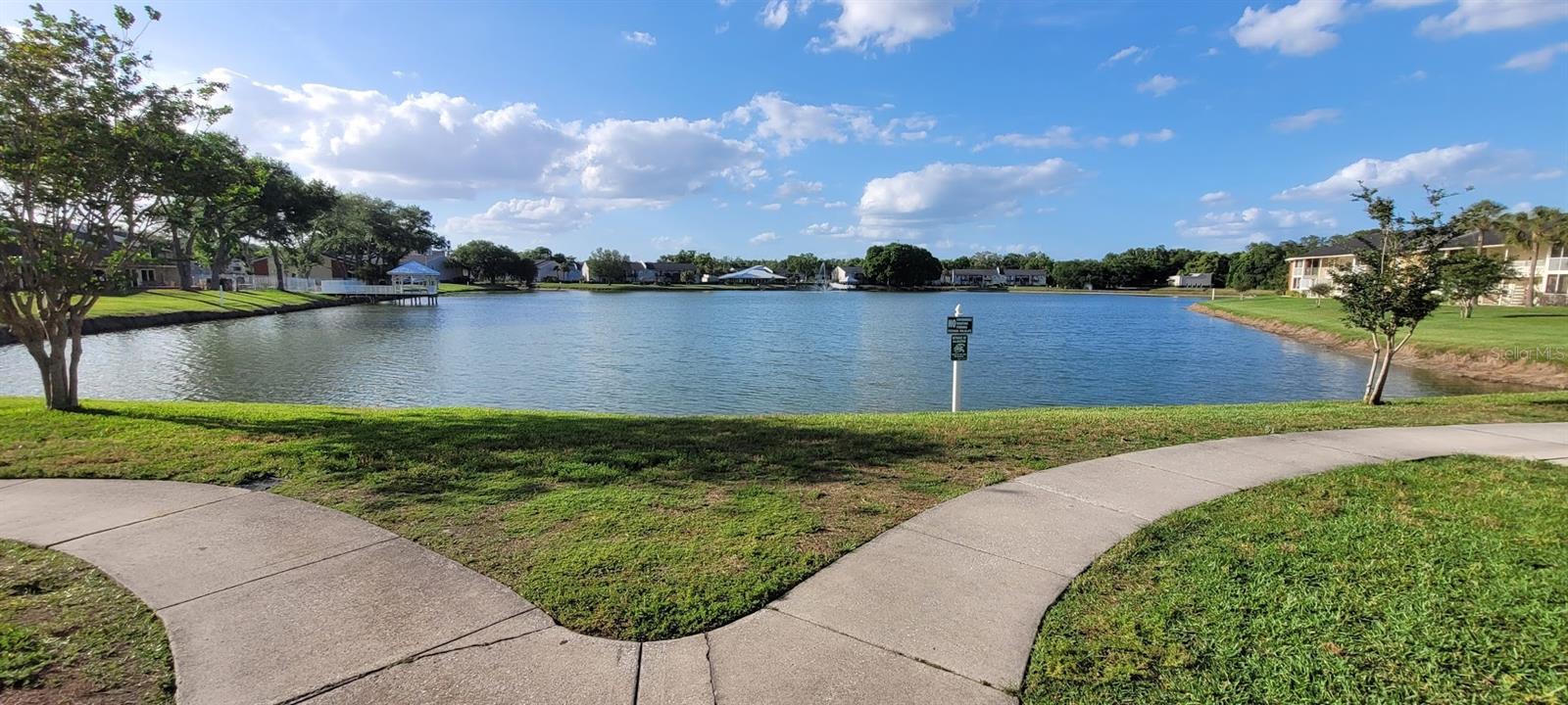 302 LAKE PARSONS GRN #102, BRANDON, FL, 33511