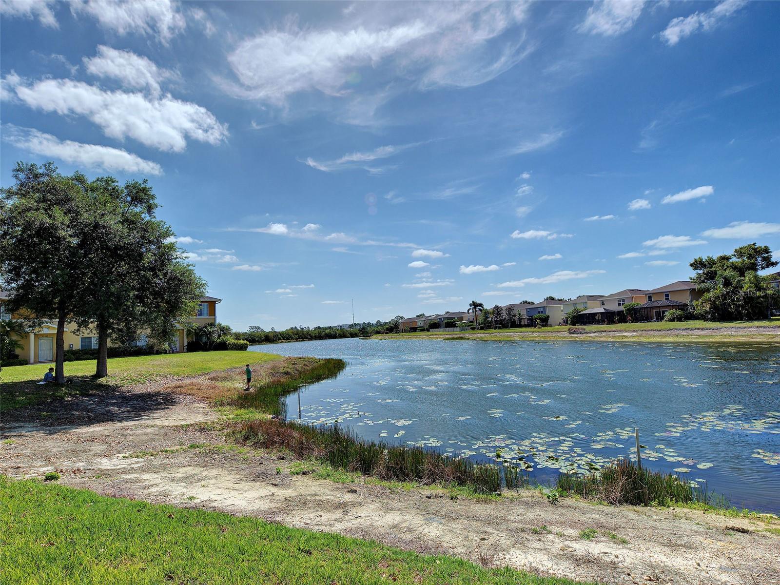 11993 TEMPEST HARBOR LOOP, VENICE, FL, 34292