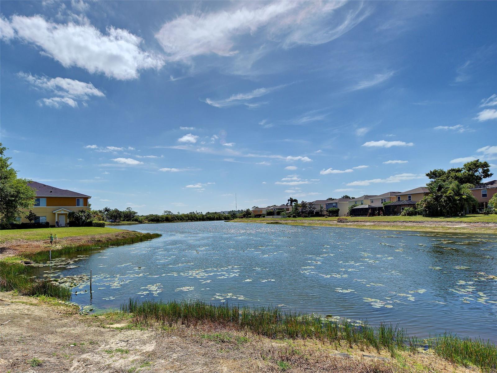 11993 TEMPEST HARBOR LOOP, VENICE, FL, 34292