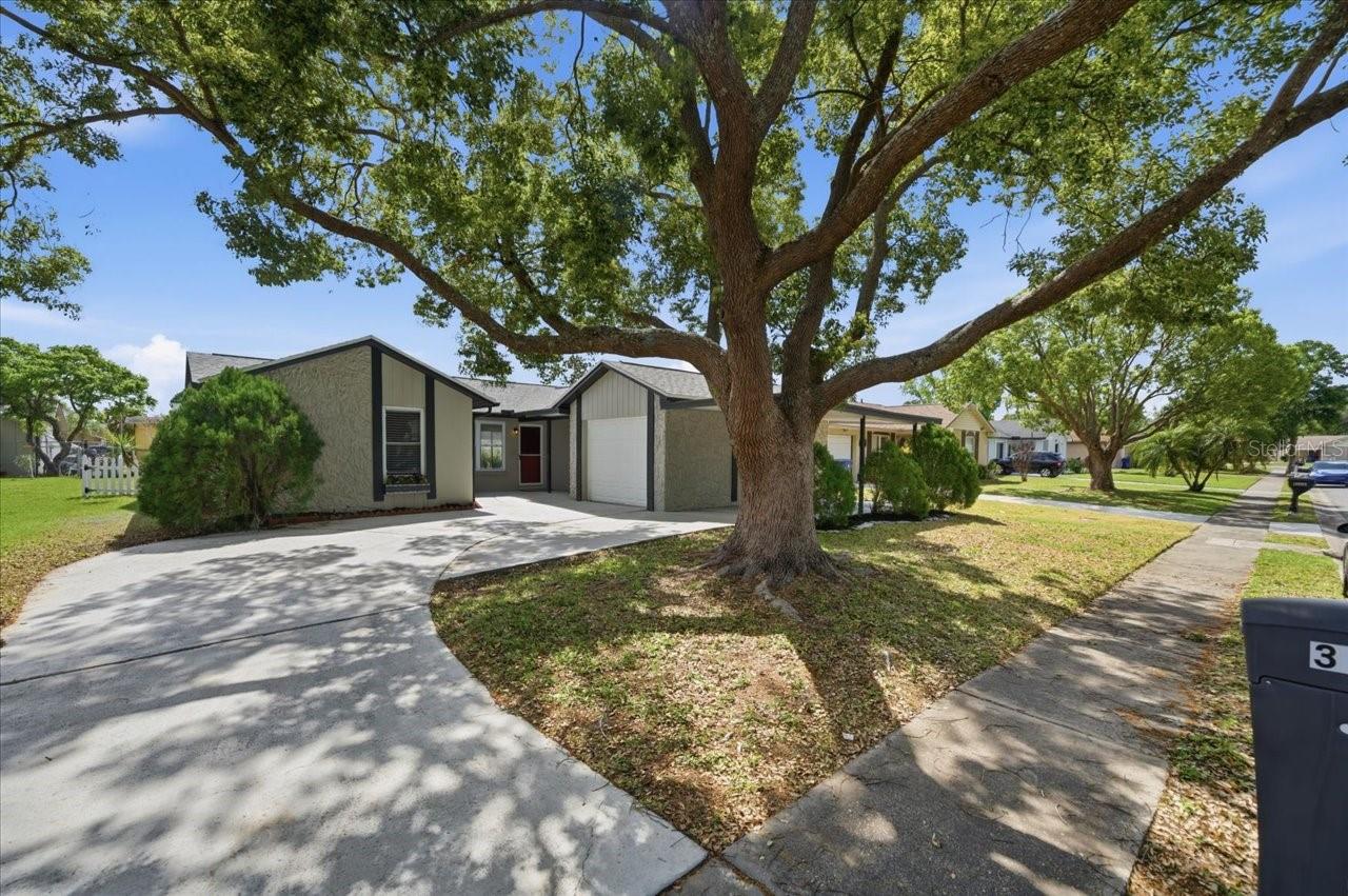 3142 LOOMIS DR, NEW PORT RICHEY, FL, 34655