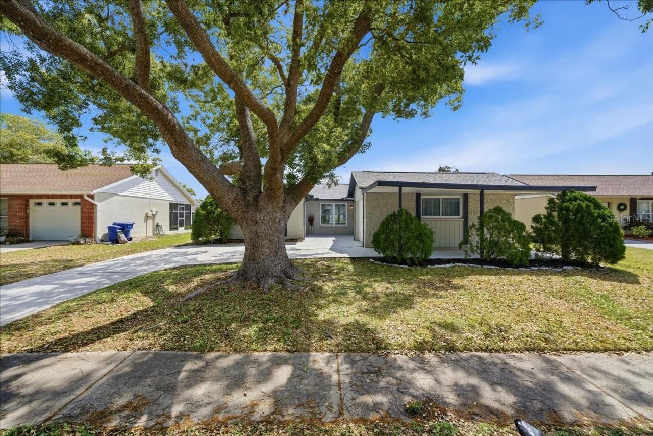 3142 LOOMIS DR, NEW PORT RICHEY, FL, 34655