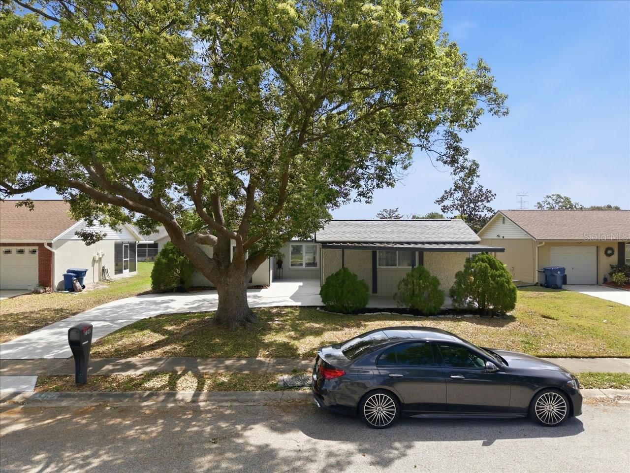 3142 LOOMIS DR, NEW PORT RICHEY, FL, 34655