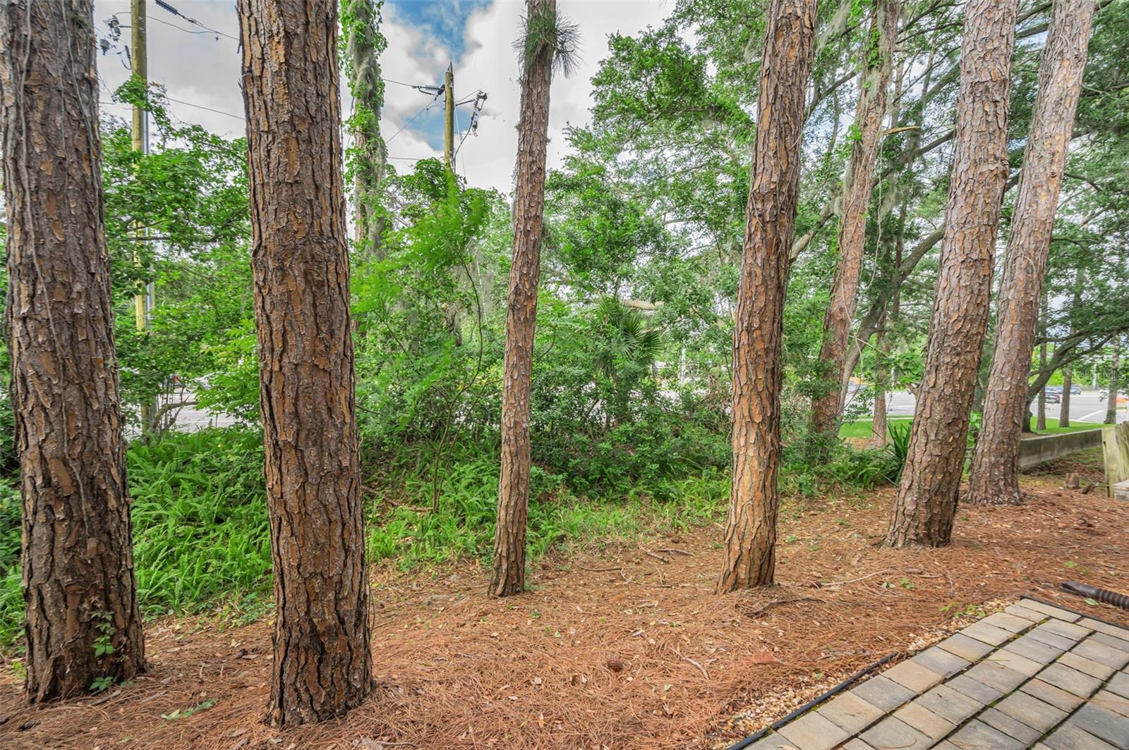 3460 COUNTRYSIDE BLVD #44, CLEARWATER, FL, 33761