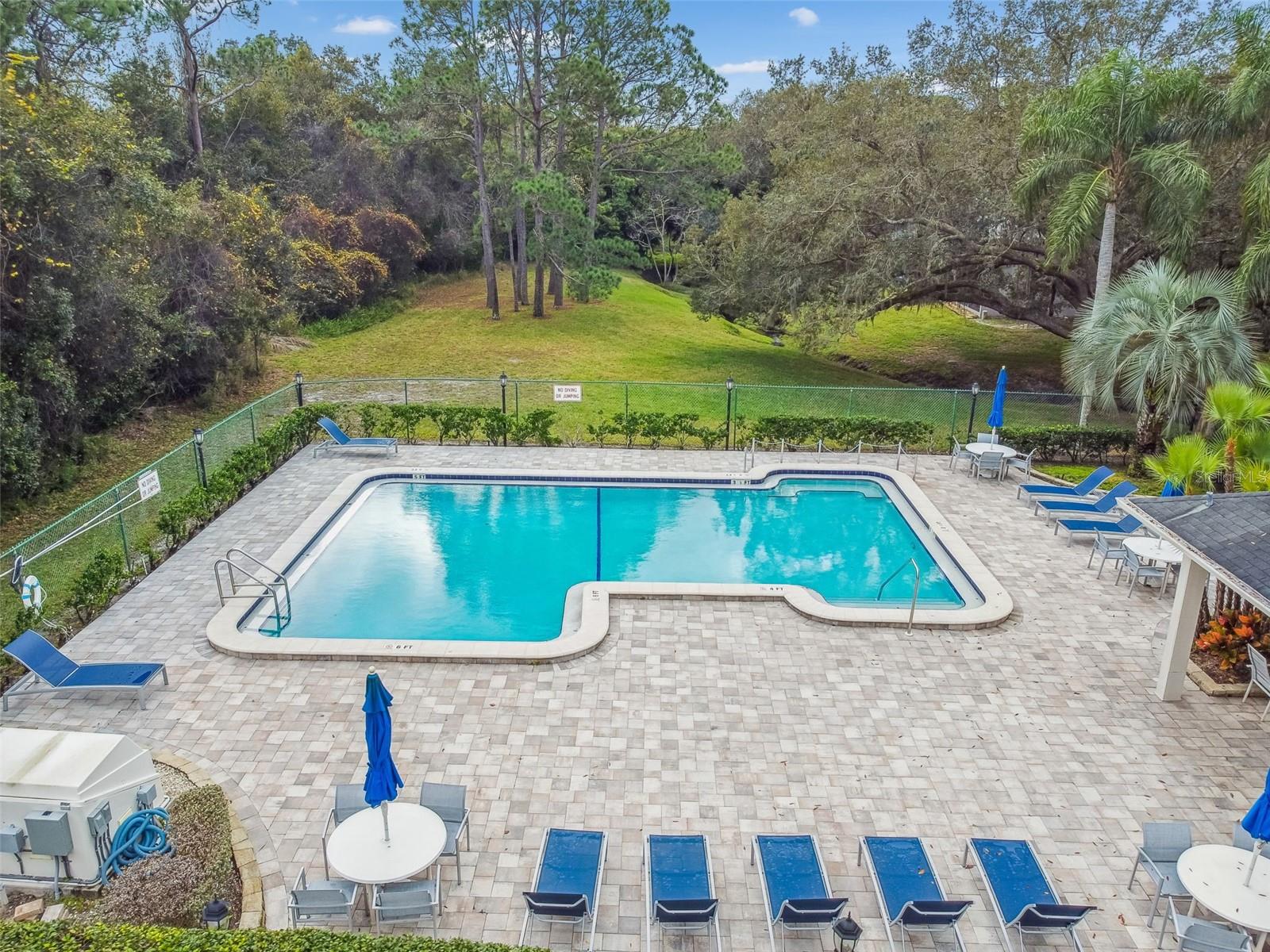 115 STEEPLECHASE LN, PALM HARBOR, FL, 34684