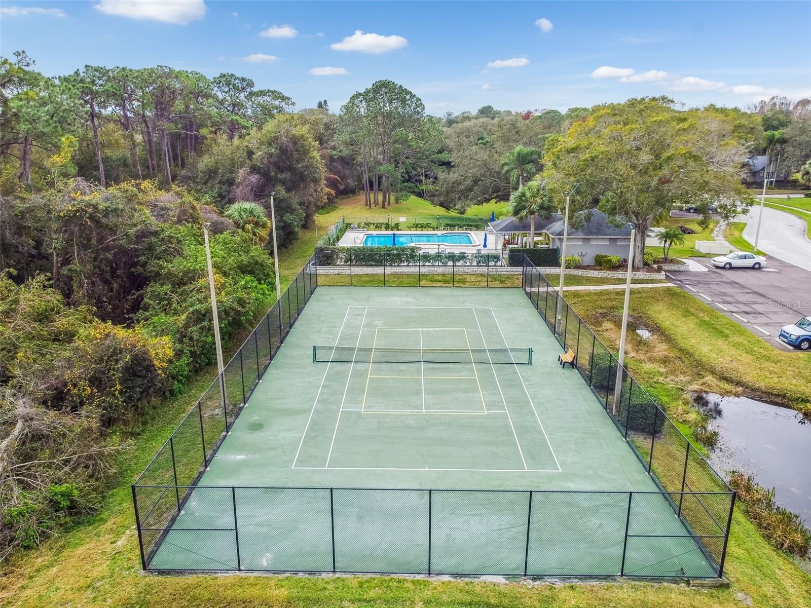 115 STEEPLECHASE LN, PALM HARBOR, FL, 34684