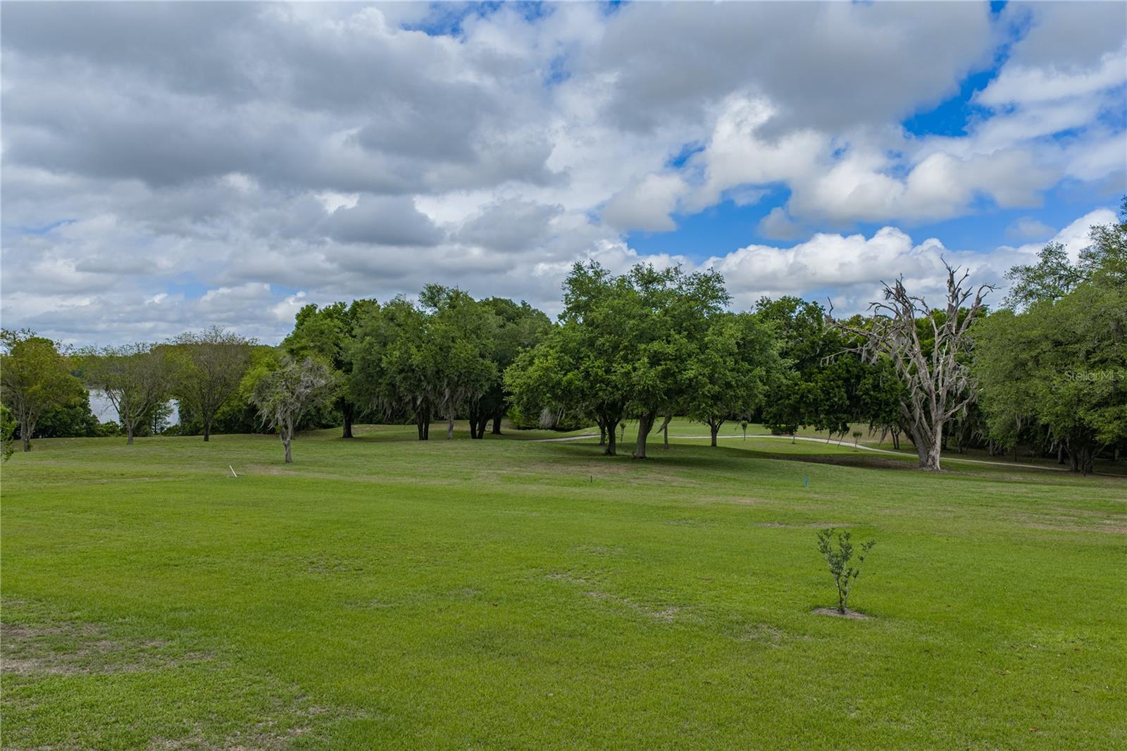 13816 CARRYBACK DR, DADE CITY, FL, 33525