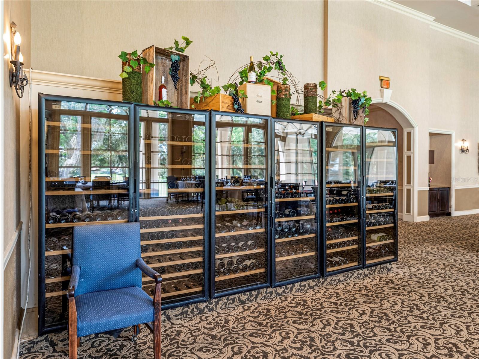 13816 CARRYBACK DR, DADE CITY, FL, 33525