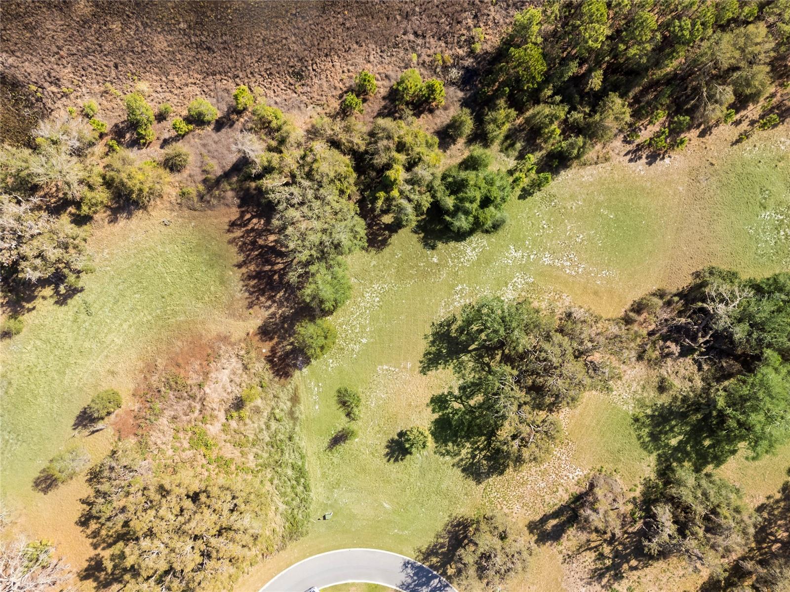 476 LONG AND WINDING RD, HOWEY IN THE HILLS, FL, 34737