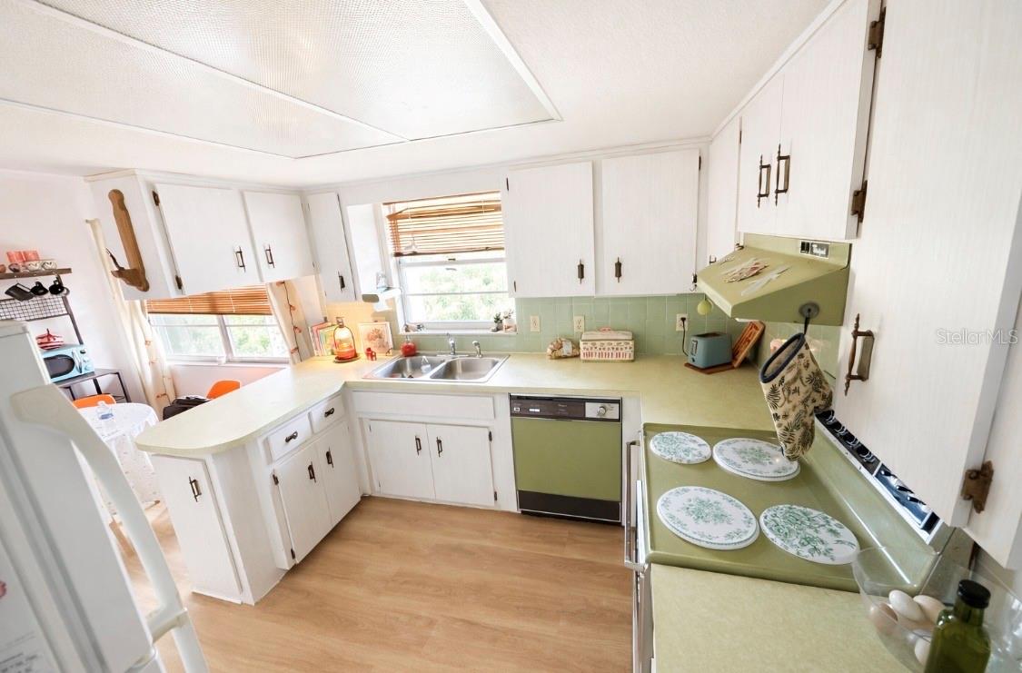 12262 S HYACINTH PT, FLORAL CITY, FL, 34436