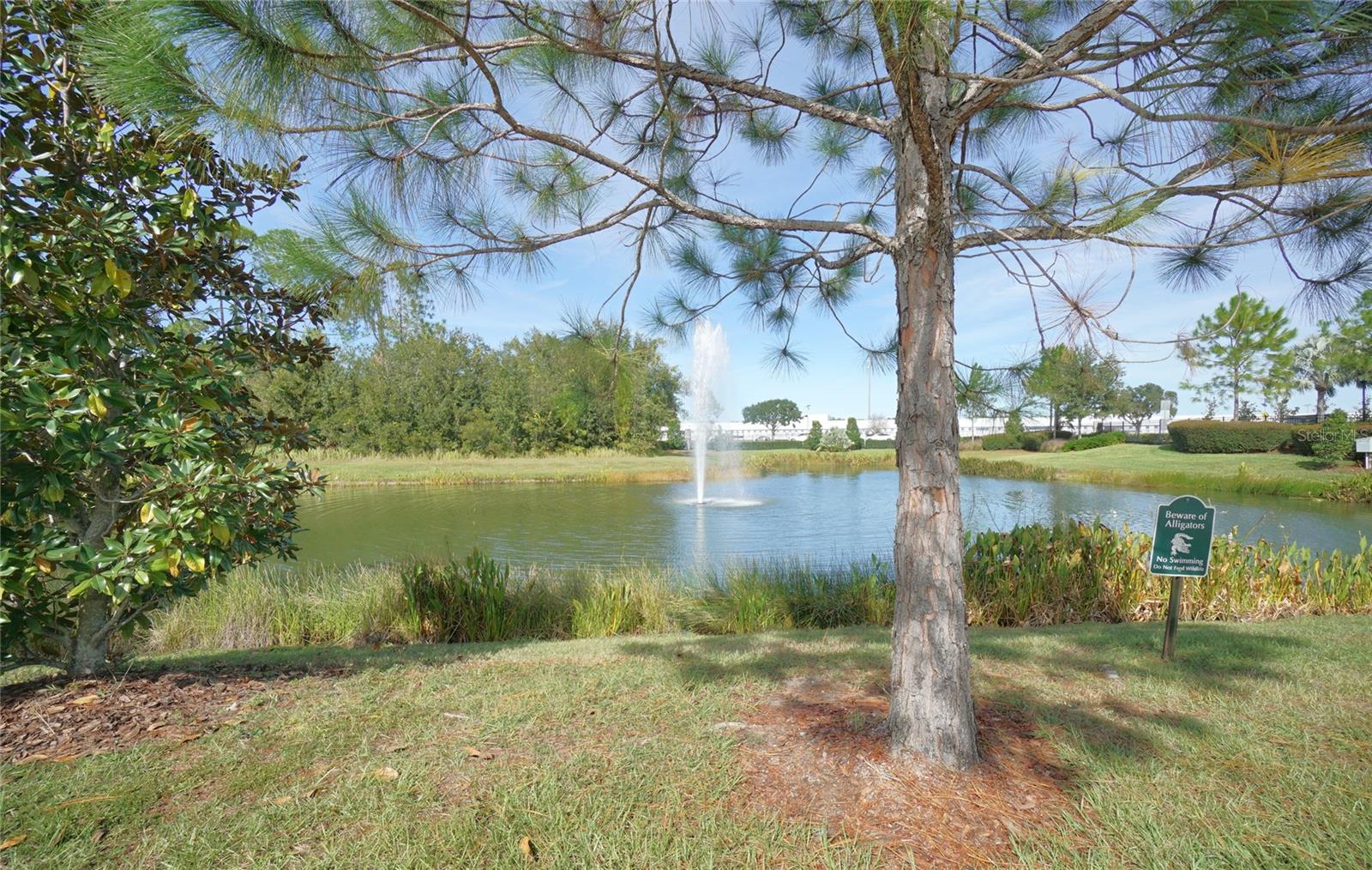 30399 MARQUETTE AVE, WESLEY CHAPEL, FL, 33545