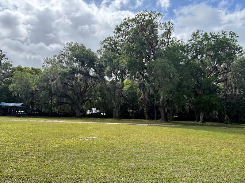 11471 E HIGHWAY 316, FORT MC COY, FL, 32134