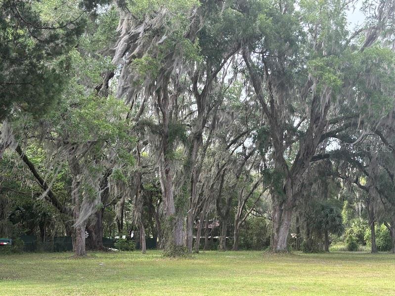 11471 E HIGHWAY 316, FORT MC COY, FL, 32134