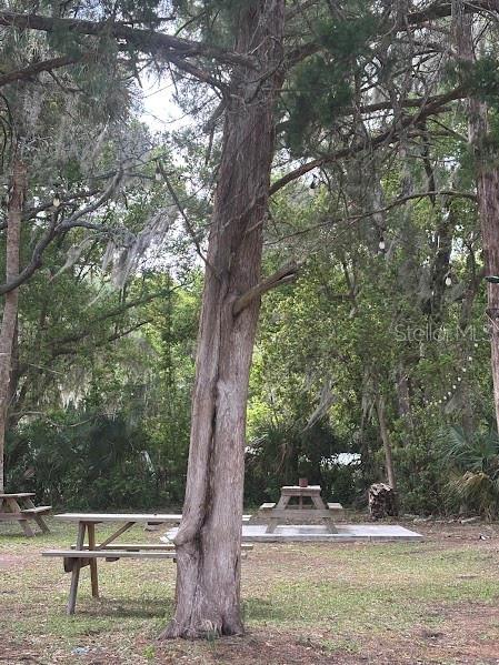 11471 E HIGHWAY 316, FORT MC COY, FL, 32134