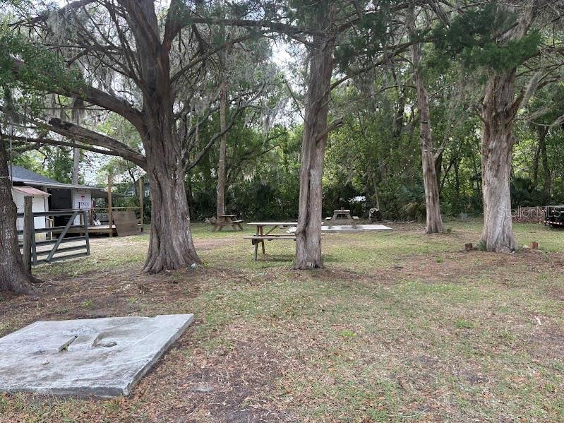 11471 E HIGHWAY 316, FORT MC COY, FL, 32134