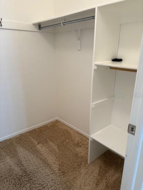 6314 MISTY TER #6314, TEMPLE TERRACE, FL, 33617