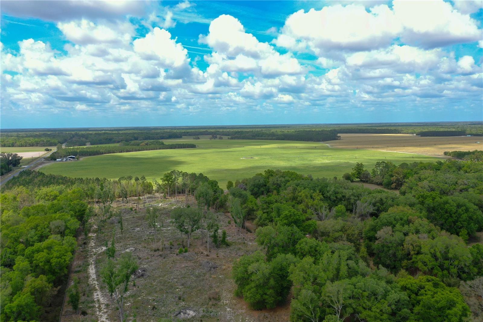 7457 NE HIGHWAY 349, OLD TOWN, FL, 32680