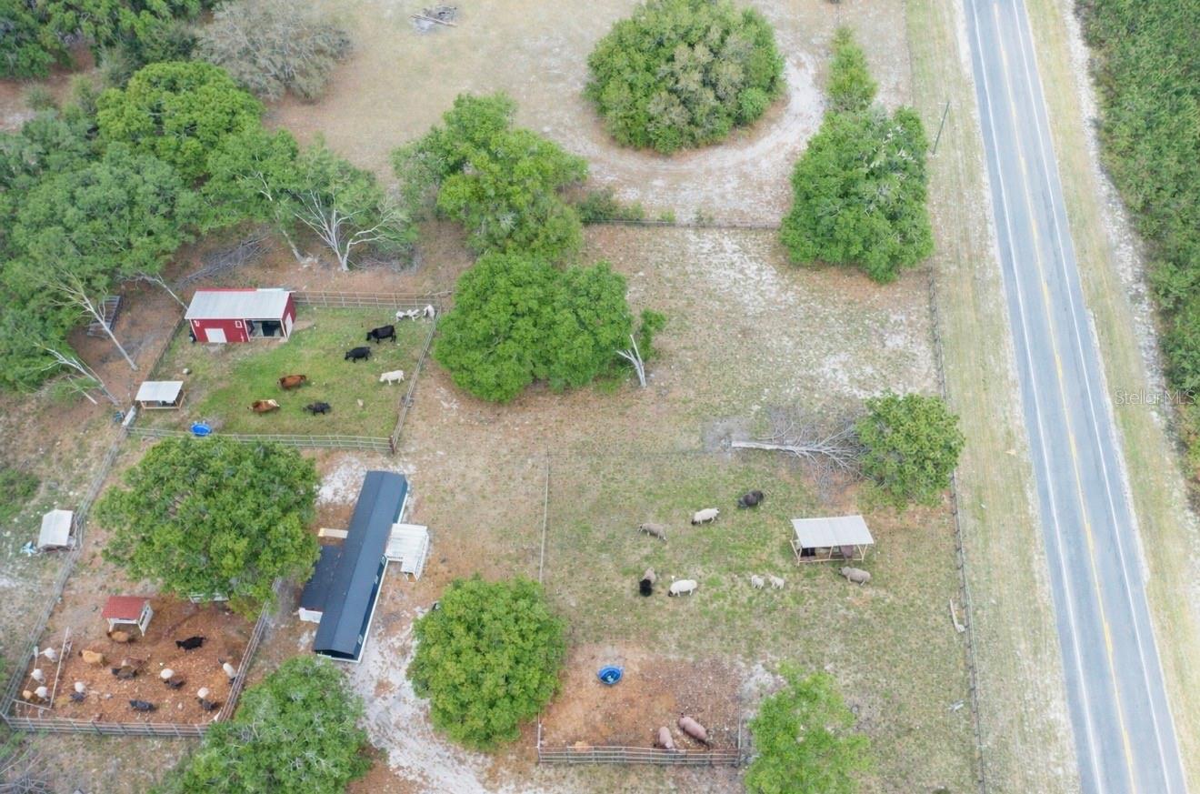 7457 NE HIGHWAY 349, OLD TOWN, FL, 32680