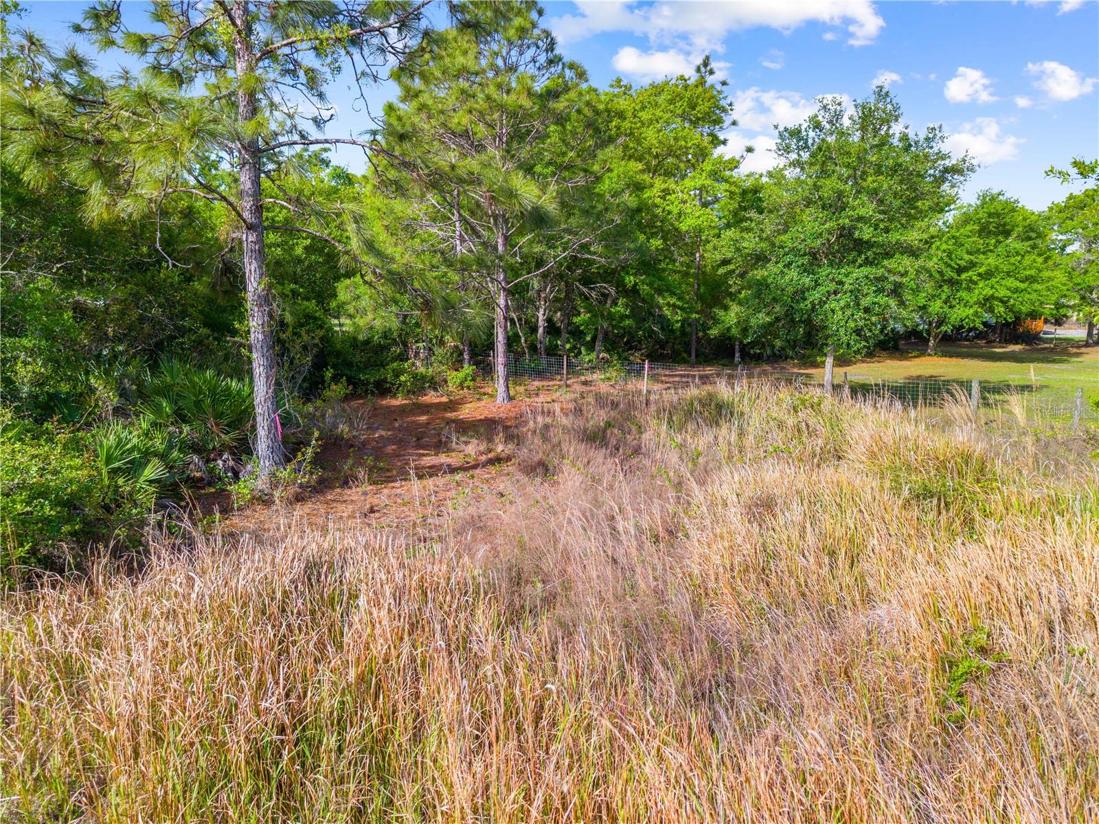 0 RICHMOND AVE, ST CLOUD, FL, 34772