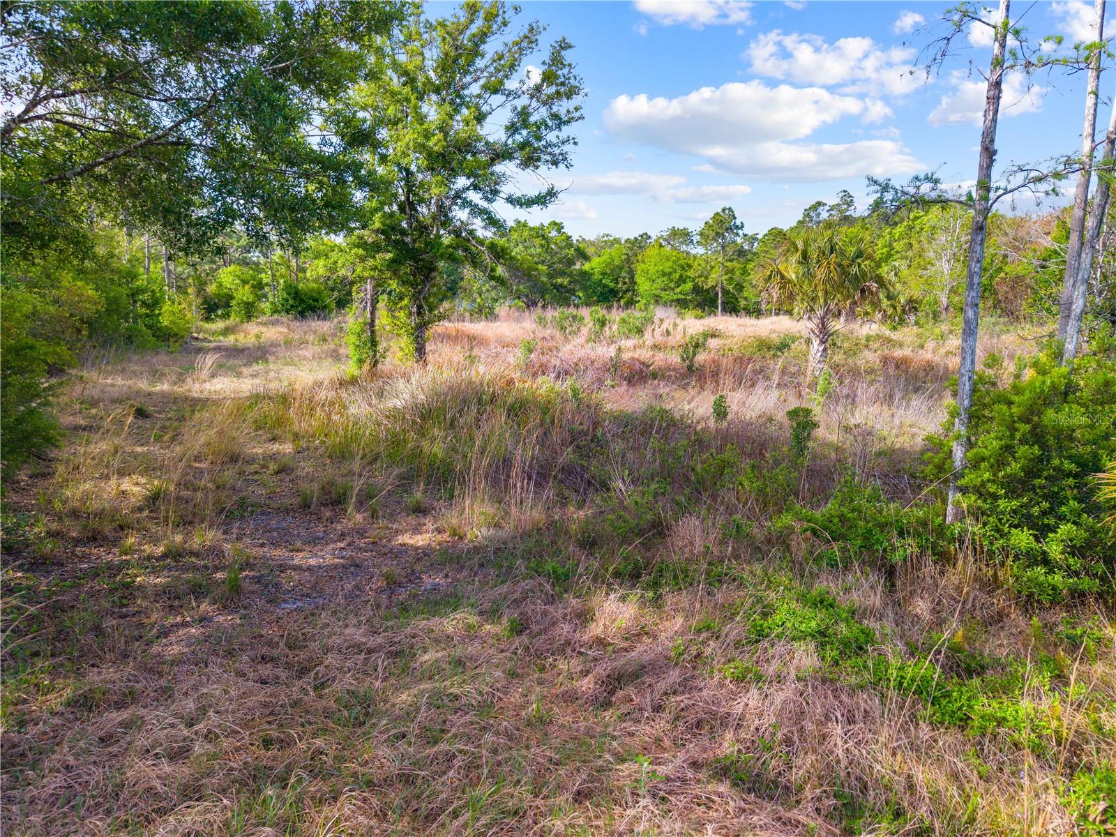0 RICHMOND AVE, ST CLOUD, FL, 34772